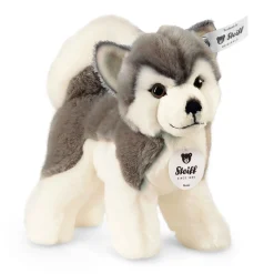 Best Steiff Bernie husky, 17 cm, white