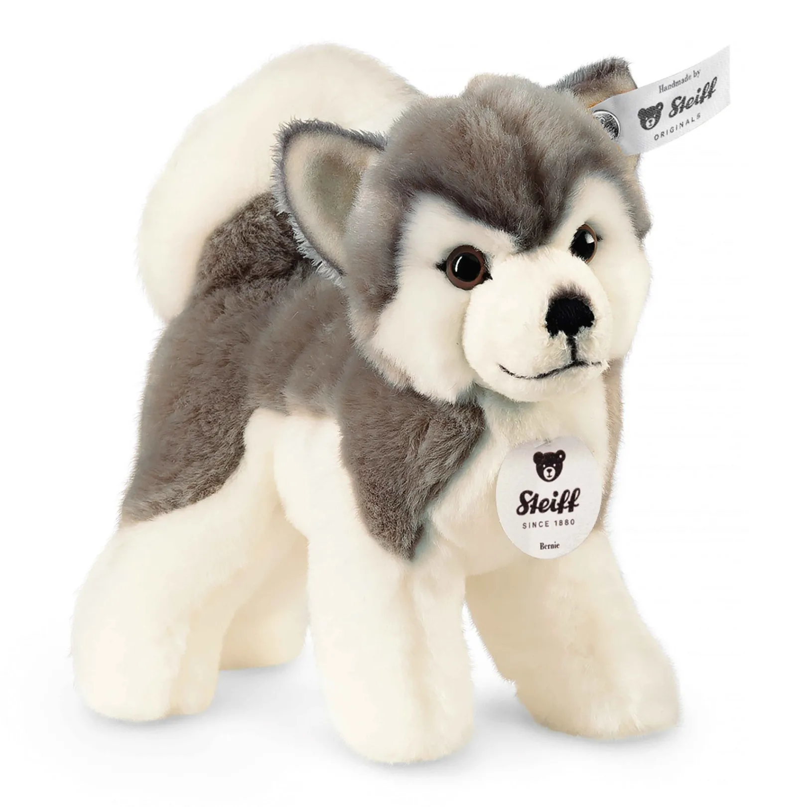 Best Steiff Bernie husky, 17 cm, white