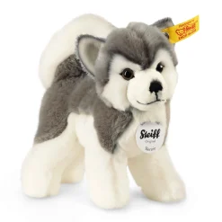 Best Steiff Bernie husky, 17 cm, white