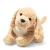Online Steiff Berno Goldendoodle, 36 cm, beige