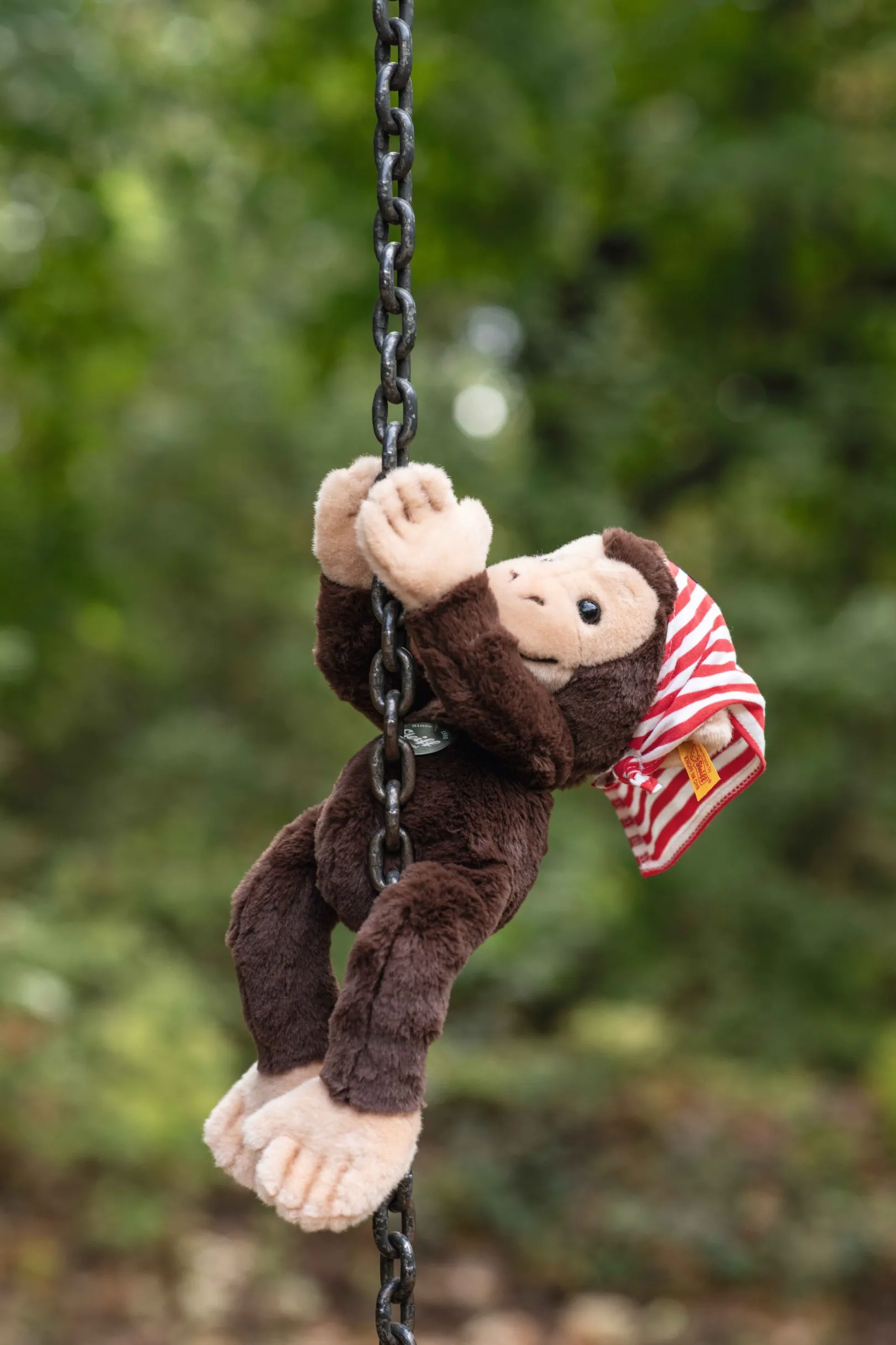 Best Steiff Scotty dangling monkey, 28 cm, brown
