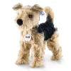 New Steiff Terri Welsh Terrier, 26 cm, light brown