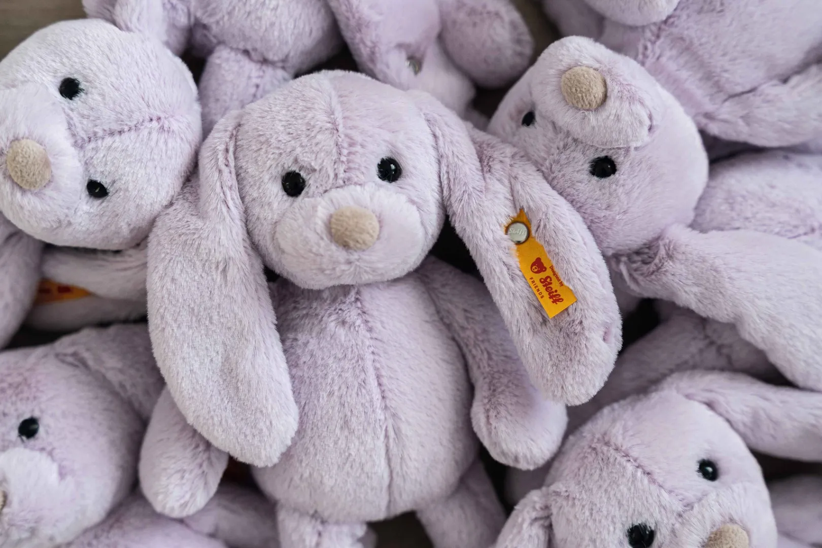 Best Steiff Tilda rabbit, 20 cm, purple